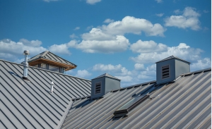 Exploring the Diversity of Metal Roof Panels Exploring the Diversity of Metal Roof Panels